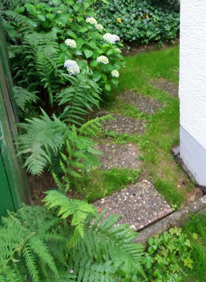 Ferienhaus Baederleiblick باد ايمس المظهر الخارجي الصورة